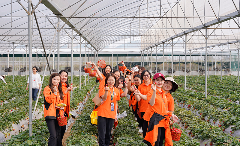 草莓園合照 草莓園合照