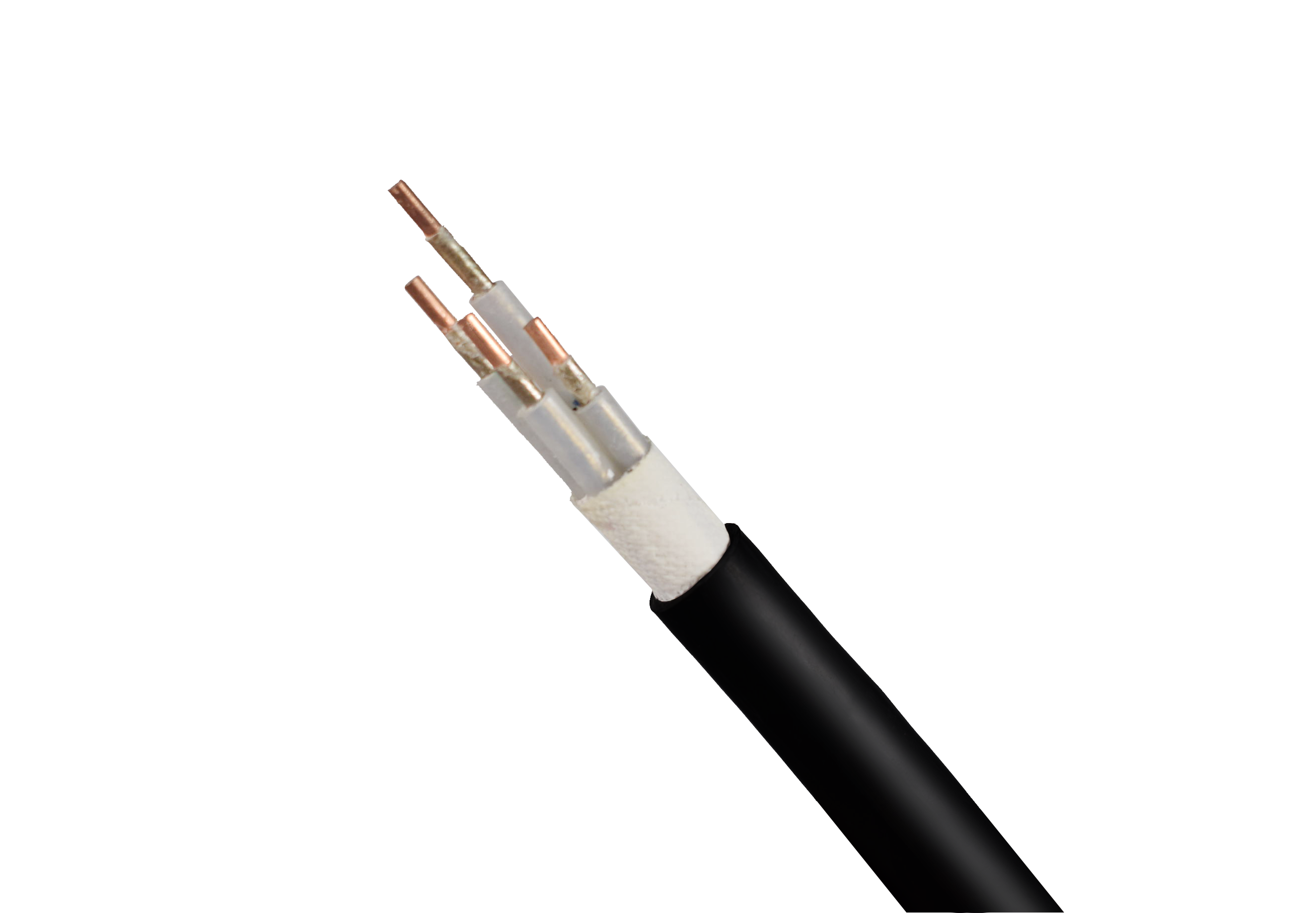 改DSC_0931 改DSC_0931