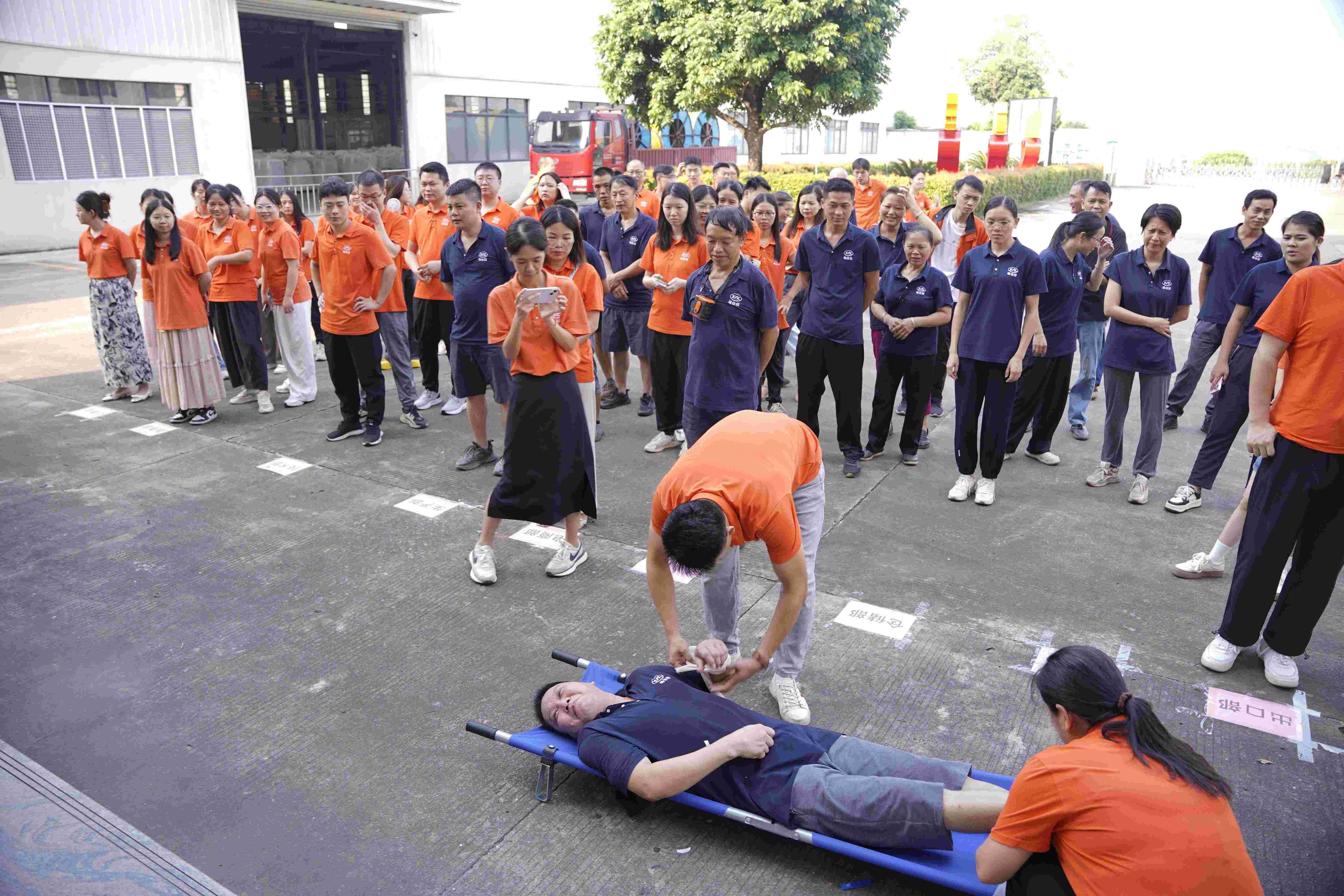 _DSC3723(1) _DSC3723(1)