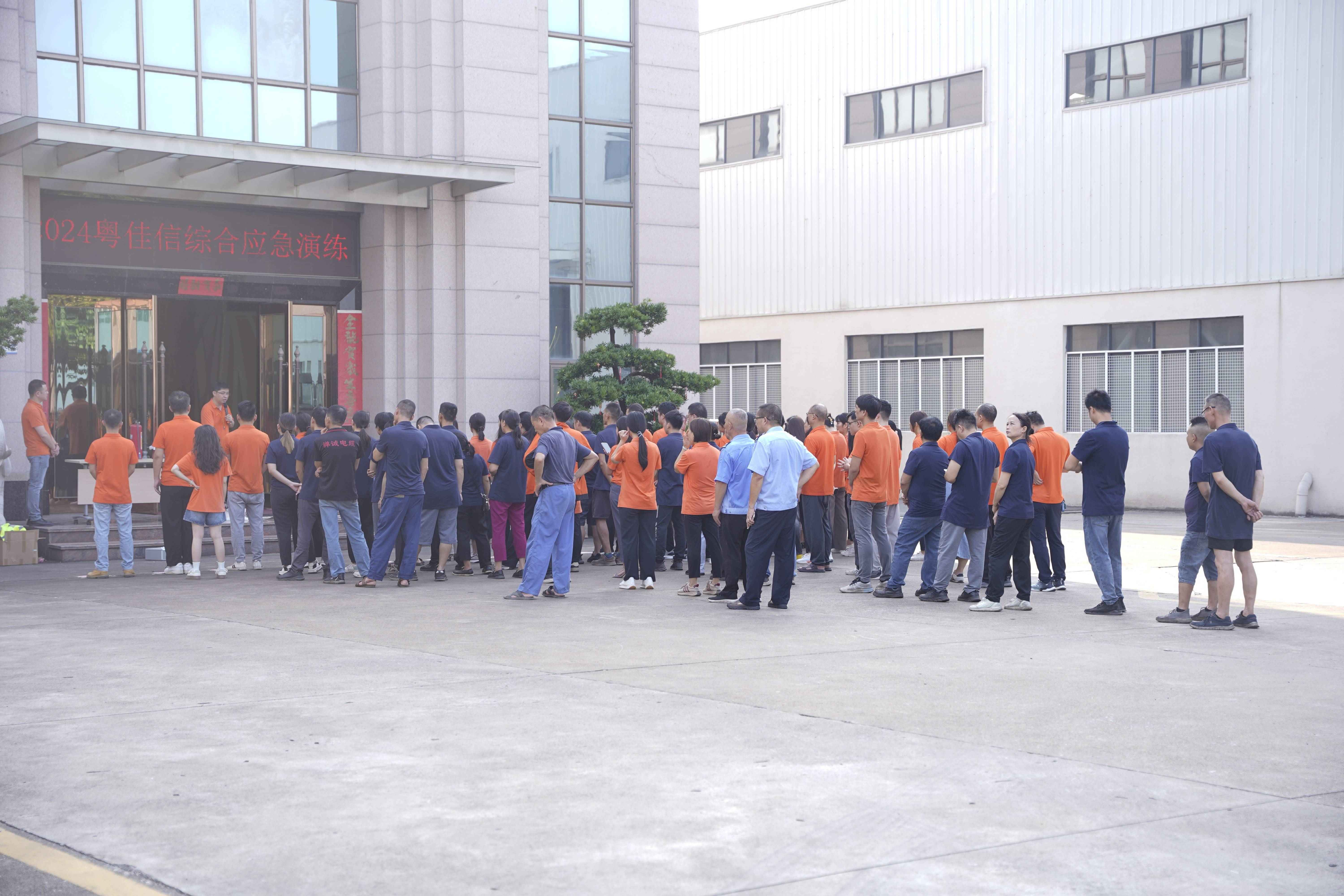 _DSC3750(1) _DSC3750(1)