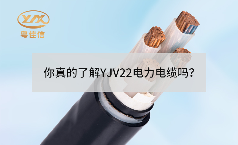 你真的了解YJV22電力電纜嗎？
