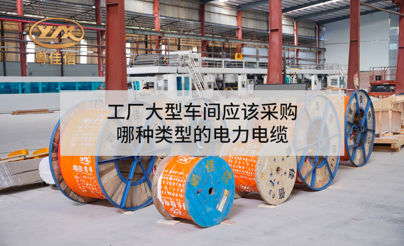 工廠大型車(chē)間應(yīng)該采購(gòu)哪種類(lèi)型的電力電纜