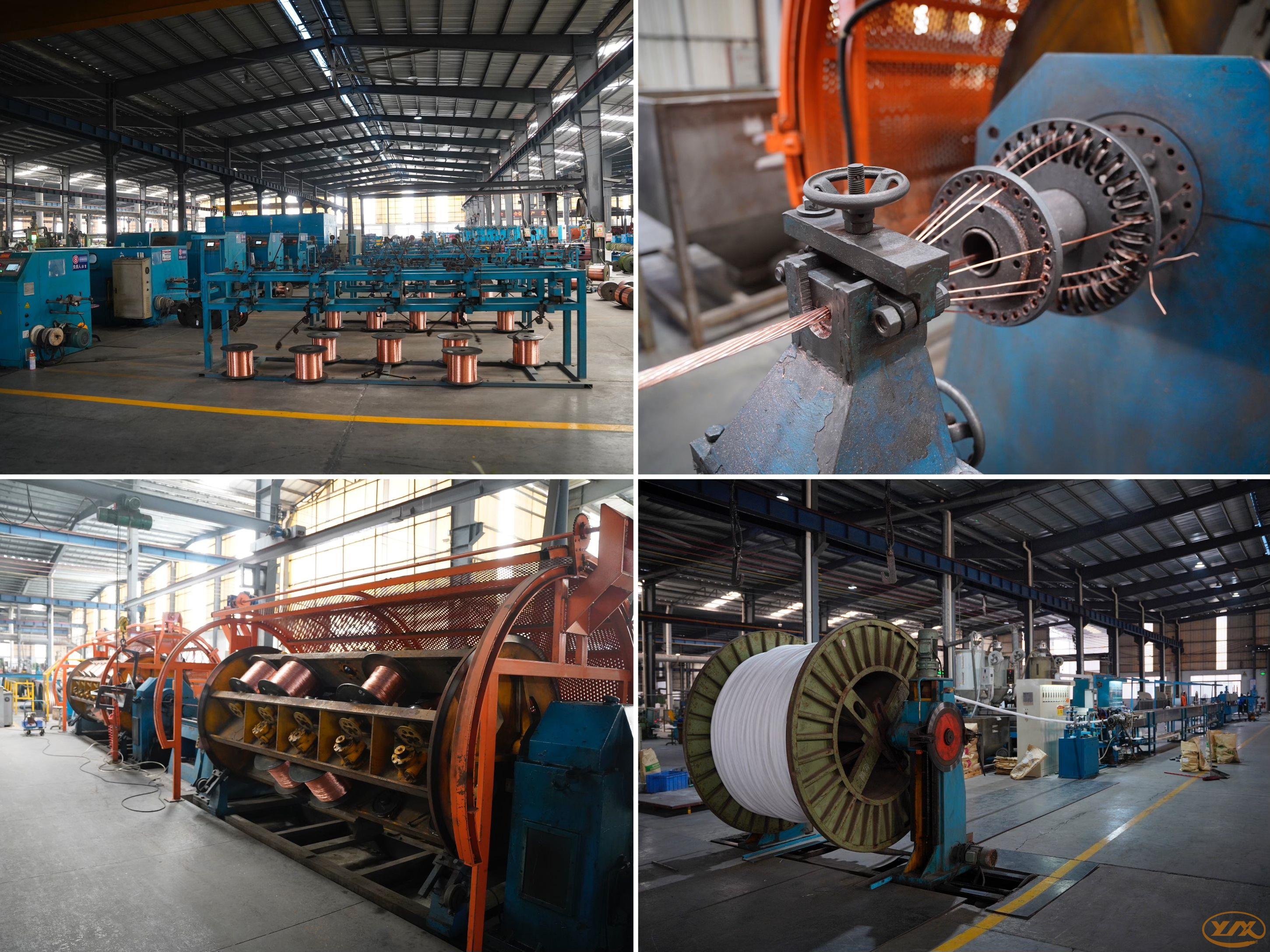 微信圖片_20250226171553(1)