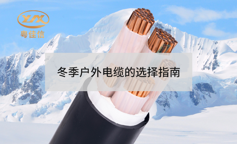 冬季戶外電纜選擇秘籍：保障安全與高效的完美指南